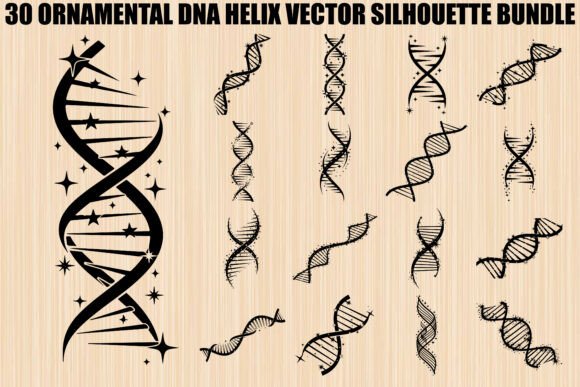 Ornamental DNA Helix Silhouette Bundle: Where Science Meets Art