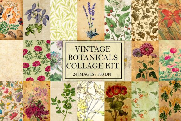 Unearthing Natural History: The Vintage Botanical Collage Kit